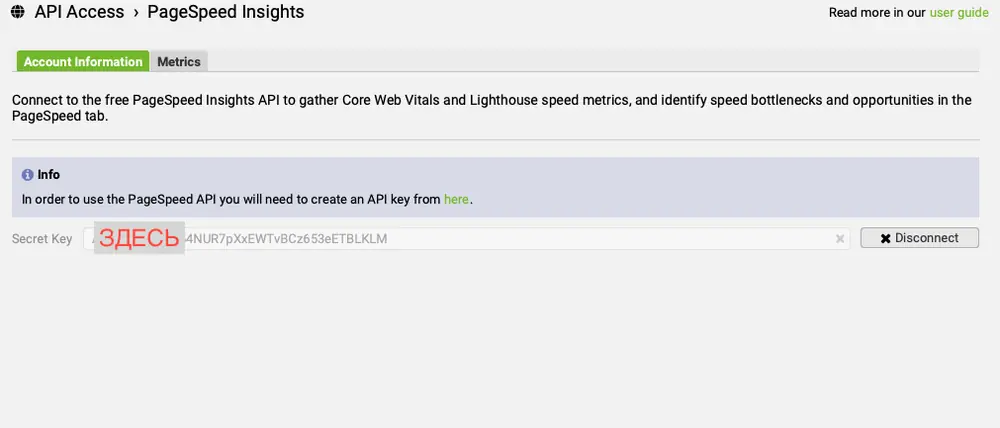**Connecting to the PageSpeed Insights API**